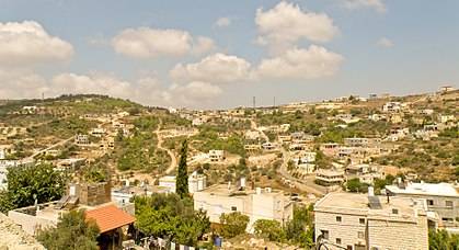 دالية الكرمل 