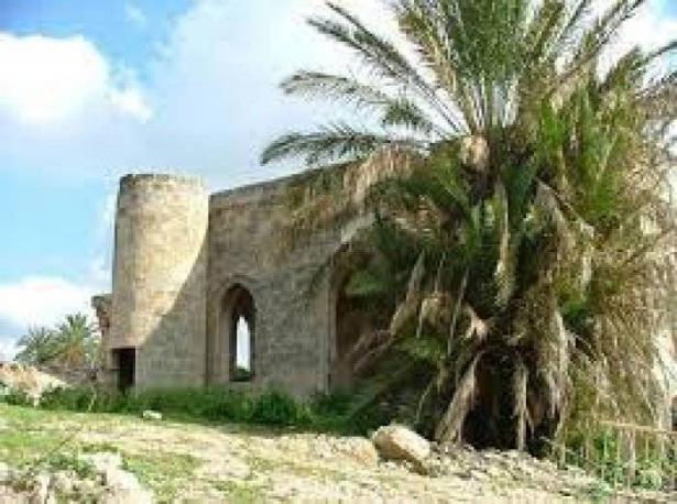 قرية البصّة 