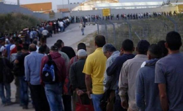 قوّات الجيش الإسرائيلي  تعتدي على العمّال من الضّفة الغربيّة قرب قلقيلية