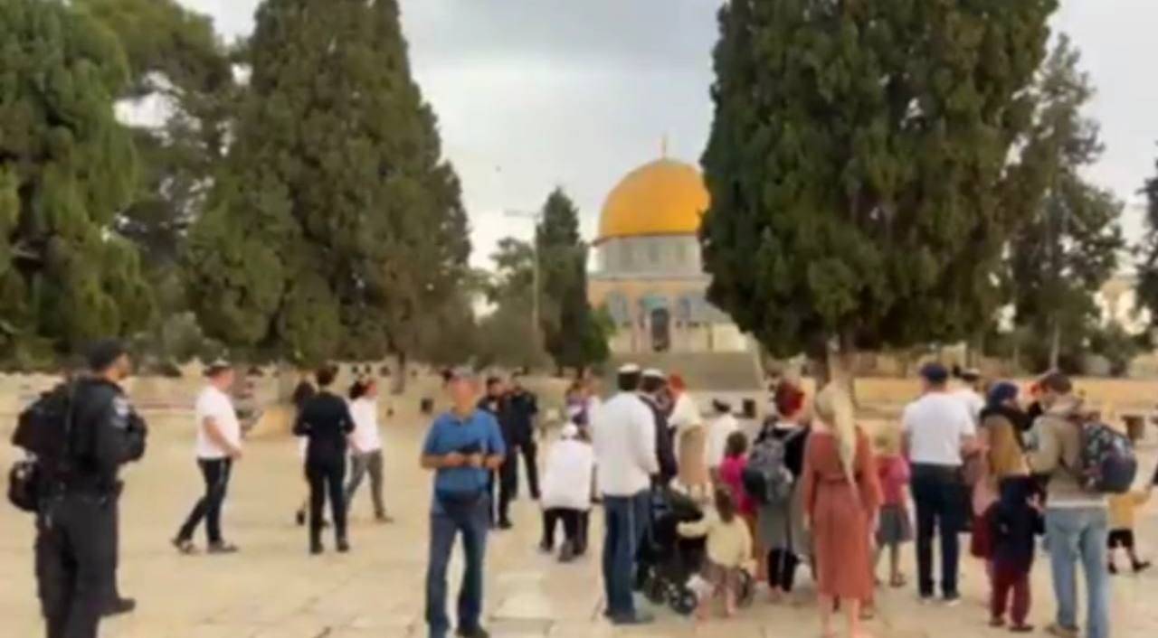 وسط إجراءات مشددة، مئات المستوطنين يقتحمون الأقصى