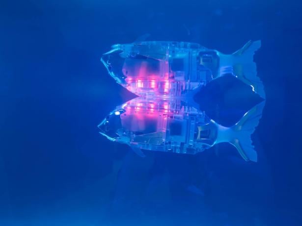 تطوير روبوت على شكل سمكة للمراقبة تحت الماء