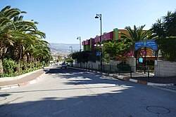الغجر