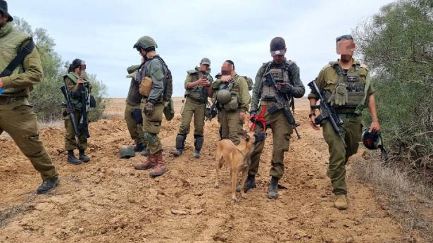 8 جنود إسرائيليين قتلوا بحوادث ذاتية في غزة خلال أسبوع واحد