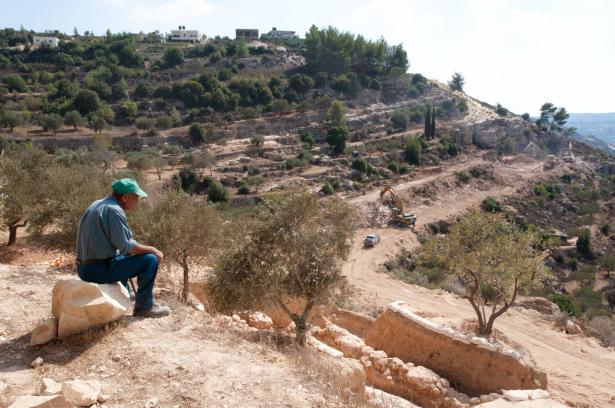 مستوطنون يمنعون الفلسطينيين  دخول أراضيهم لقطف الزيتون