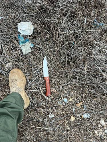 الجيش الإسرائيلي يصيب فلسطينية بحجة محاولتها تنفيذ عملية طعن قرب رام الله
