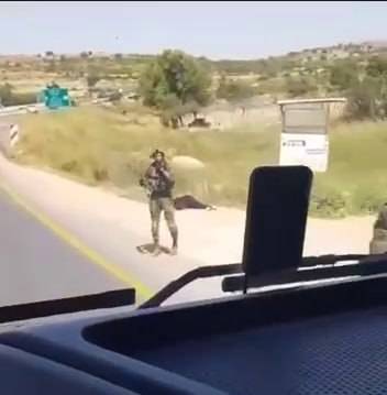 ارتقاء شابة فلسطينية برصاص الجيش الإسرائيلي بزعم محاولة طعن