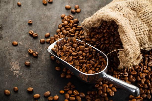 رائد نخلة: استهلاك القهوة ارتفع بحدة، ولكن إنتاجها لم يرتفع بالمرة تقريبًا