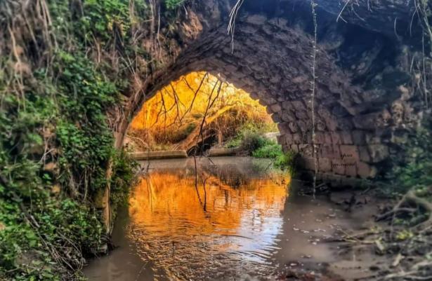 من قرية اللجون المهجرة - تصوير بلدية ام الفحم  