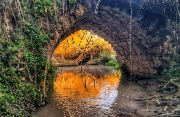 من قرية اللجون المهجرة - تصوير بلدية ام الفحم  