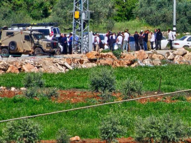 مستوطنون يسرقون محاصيل القمح ويعتدون على المنازل في الضفة الغربية