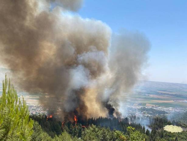 وسائل التواصل - مكان الحريق