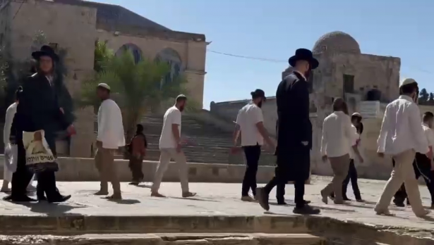 من المسجد الأقصى - شهود عيان 