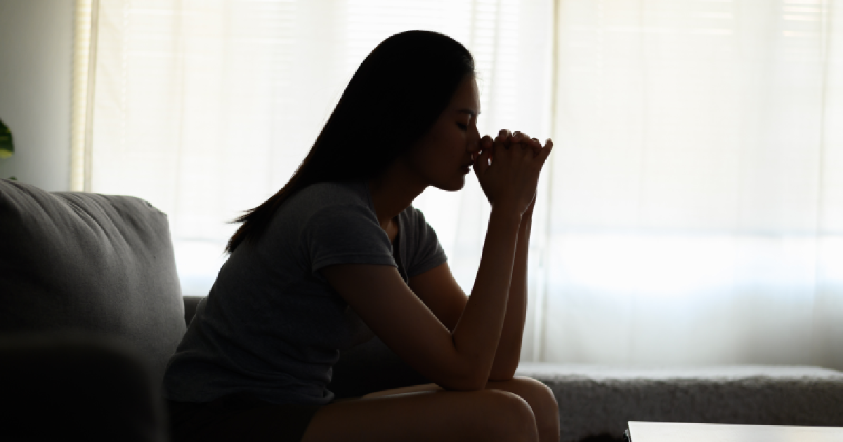 shutterstock - Cat Box