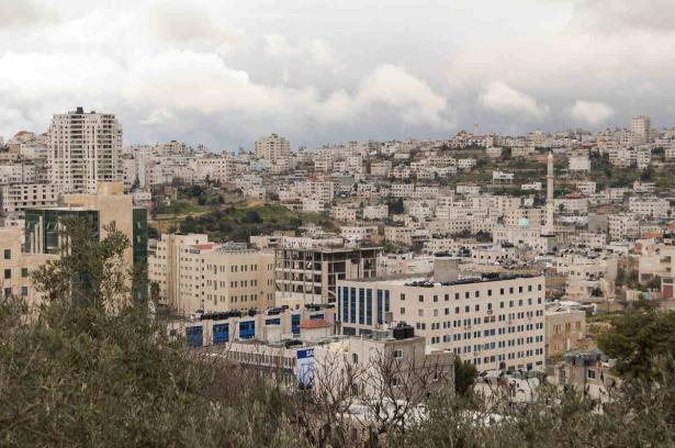 فلسطين: استيلاء إسرائيل على آلاف الدونمات تقويض لحل الدولتين