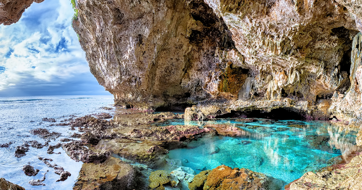 shutterstock - Molly Brown NZ
