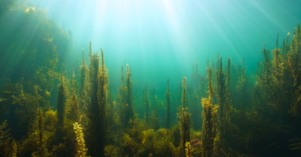 shutterstock - Damsea
