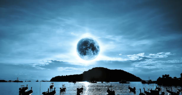 shutterstock  - Apichan Thongkrajang
