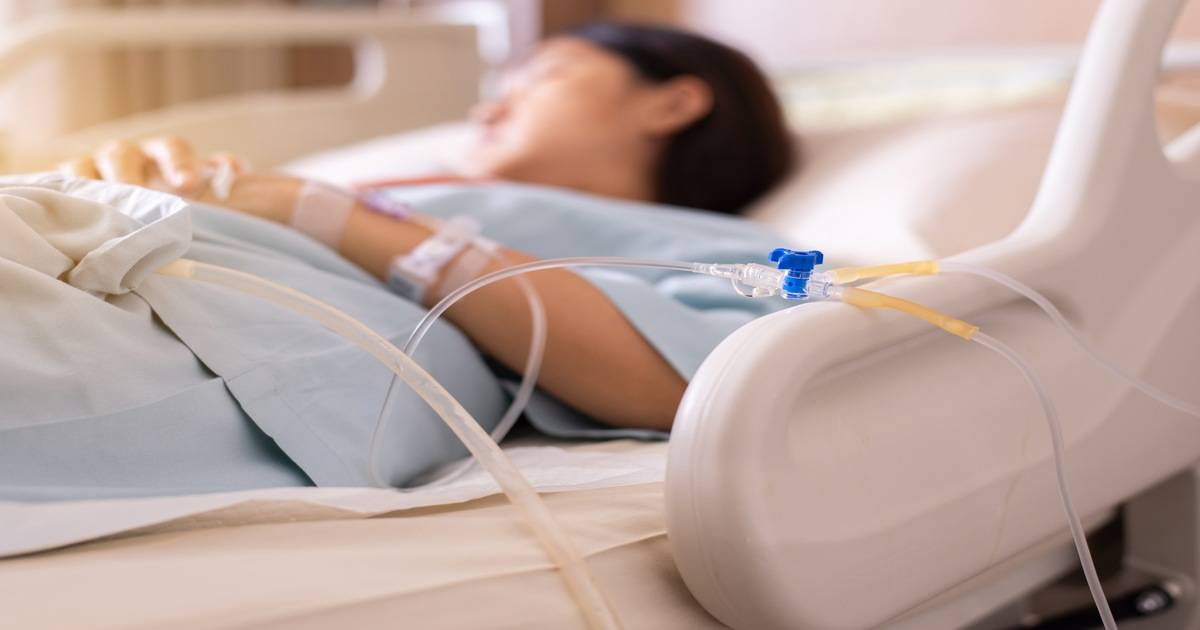 shutterstock - GBALLGIGGSPHOTO
