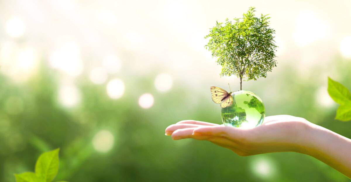 shutterstock_Julia Ardaran
