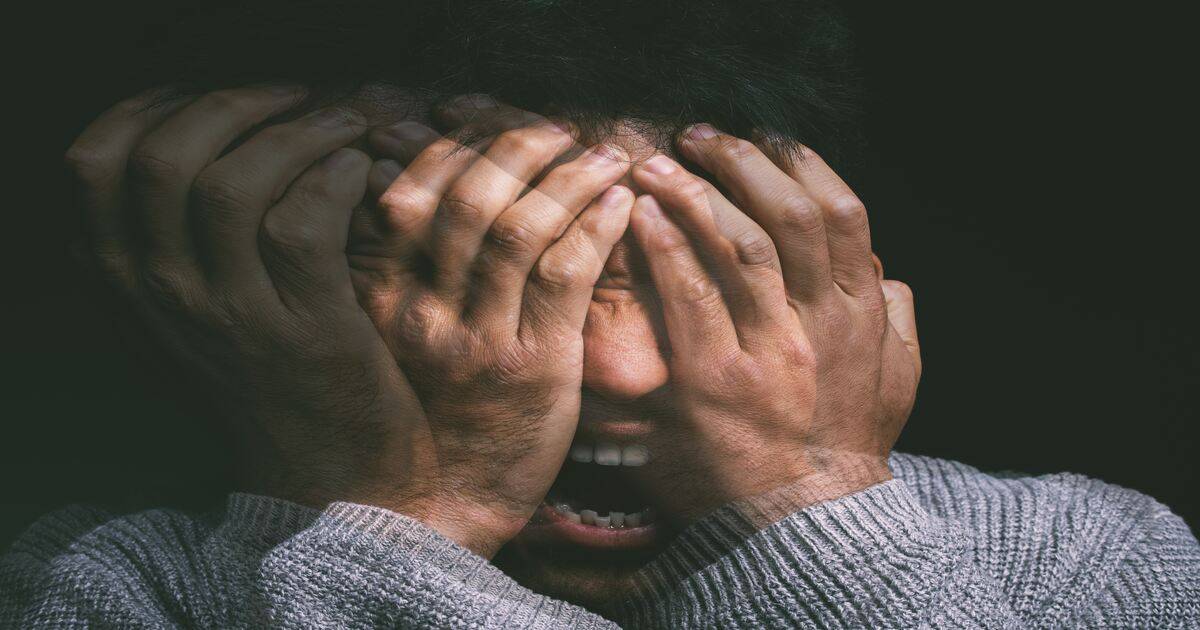 shutterstock
