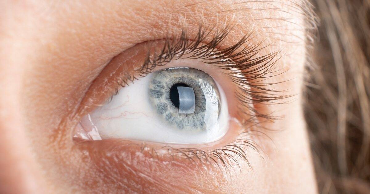 Shutterstock 