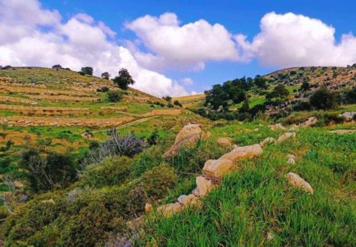 المجد الفلسطينية (أرشيفية)

