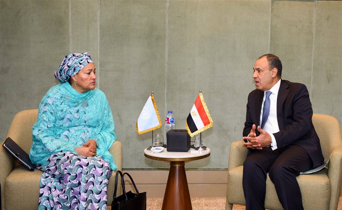 وزارة الخارجية المصرية