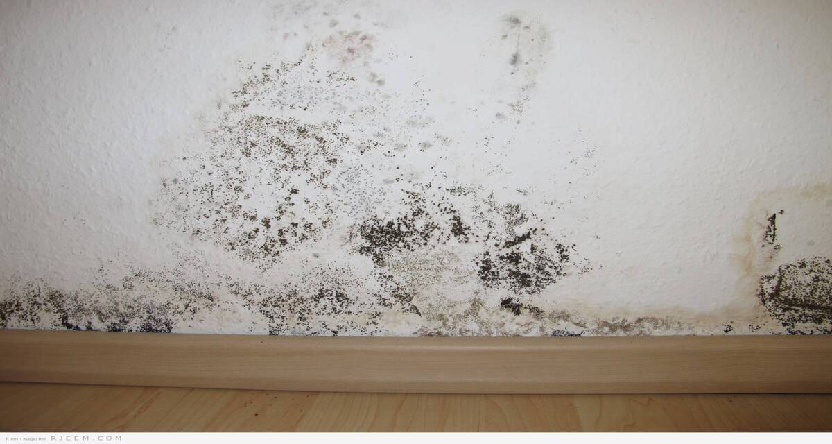 مخاطرها الصحية أكبر.. كيف تؤثر رطوبة الشتاء على منزلك؟