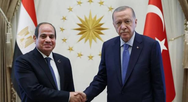السيسي وأردوغان (مواقع تواصل)