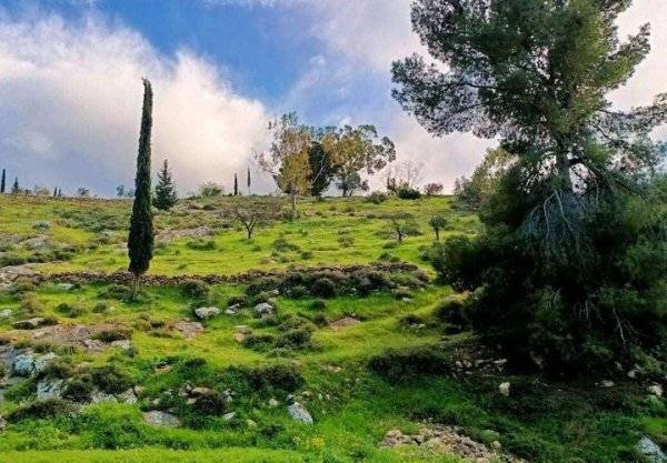 بلدة المجد الفلسطينية