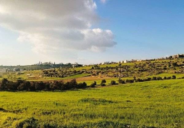 المجد الفلسطينية