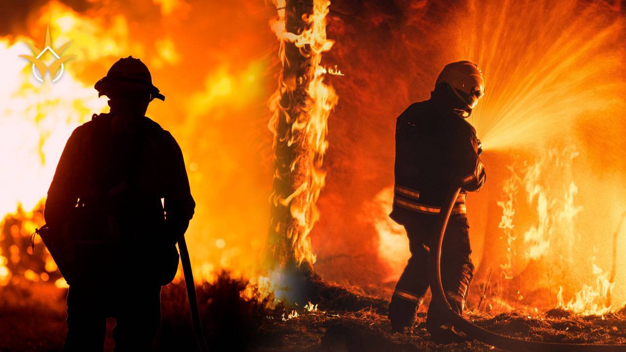 حرائق الغابات 