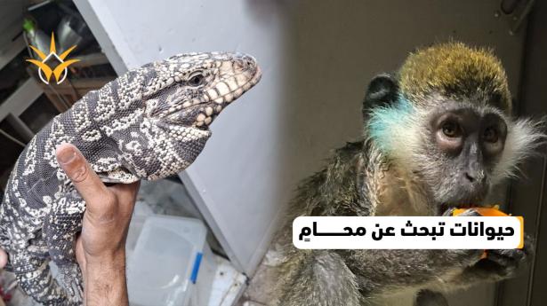 حيوانات تبحث عن محامٍ: الاتجار بنا غير قانوني يا بشر!