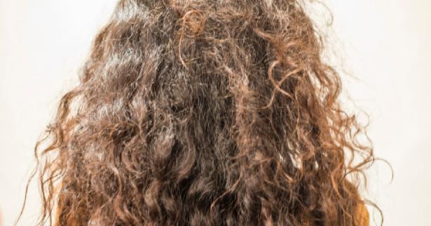 طرق طبيعية لترطيب الشعر الجاف بدون مواد كيميائية.. اكتشفها