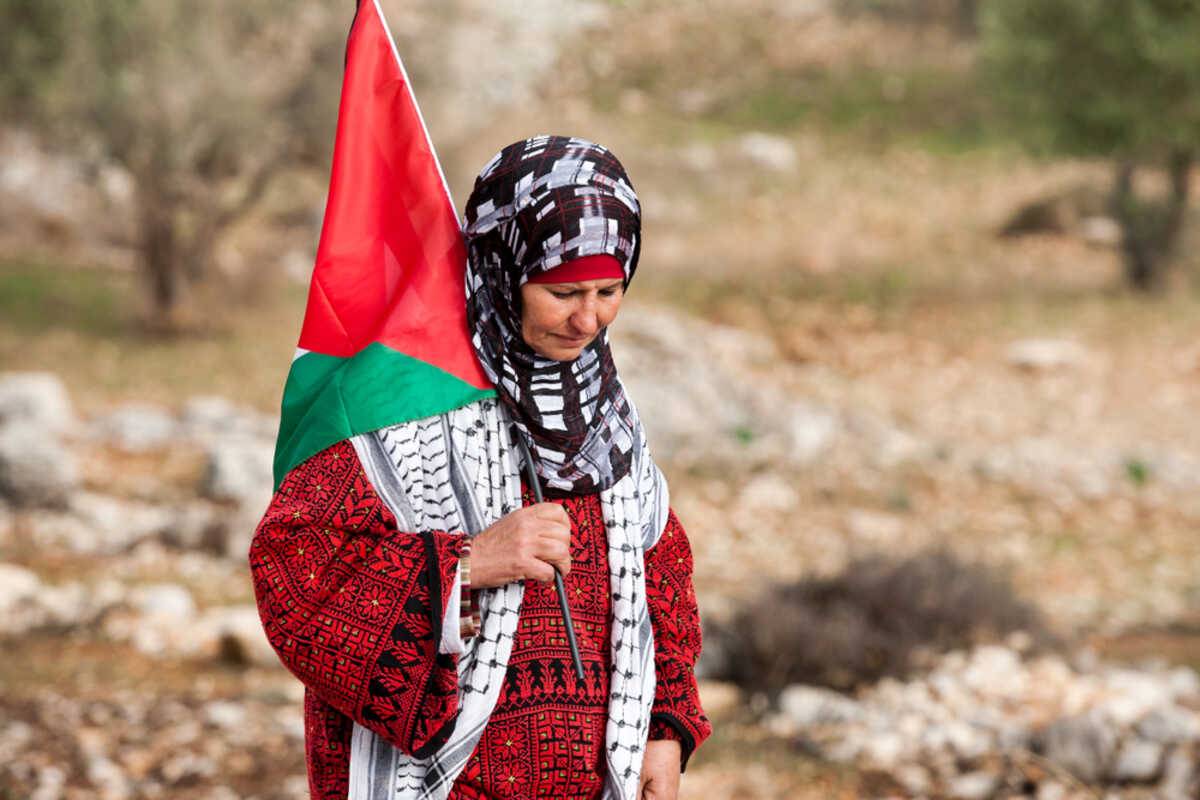 shutterstock_ dom zara
