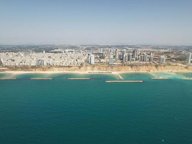 فري بيك