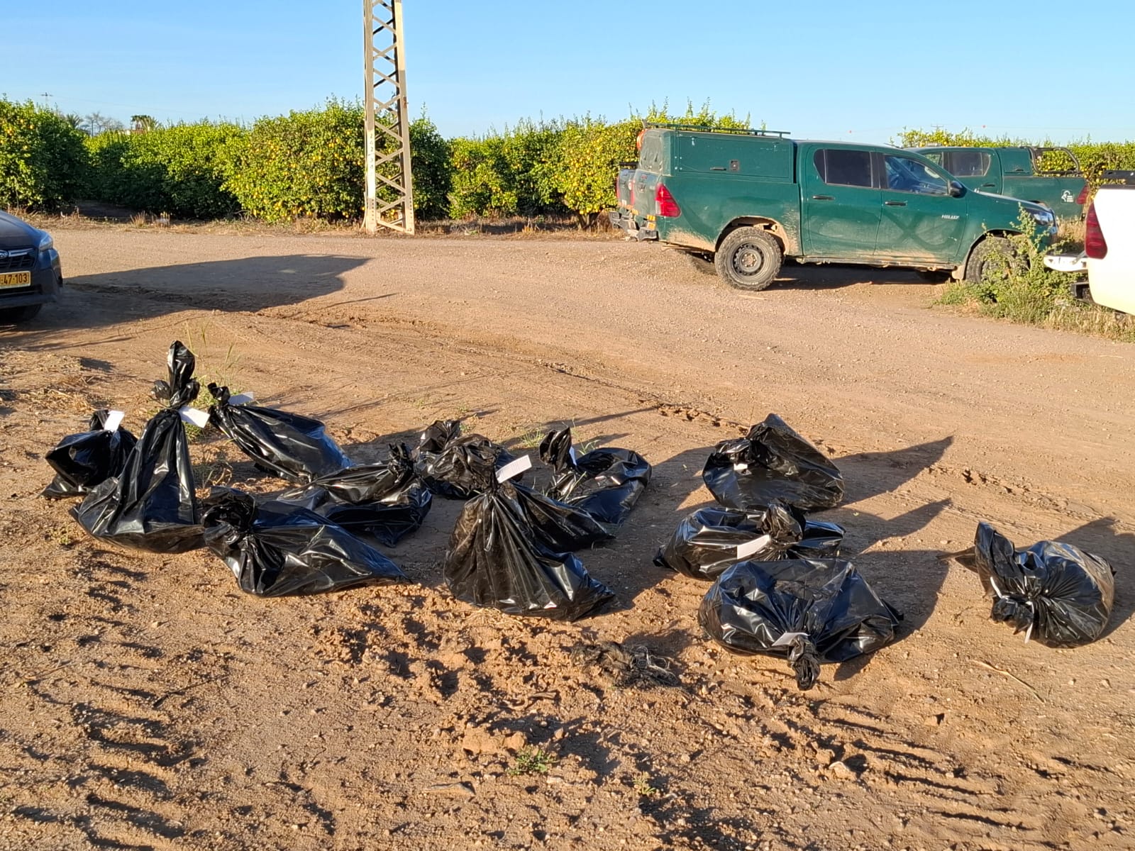 تصوير سلطة الطبيعة 