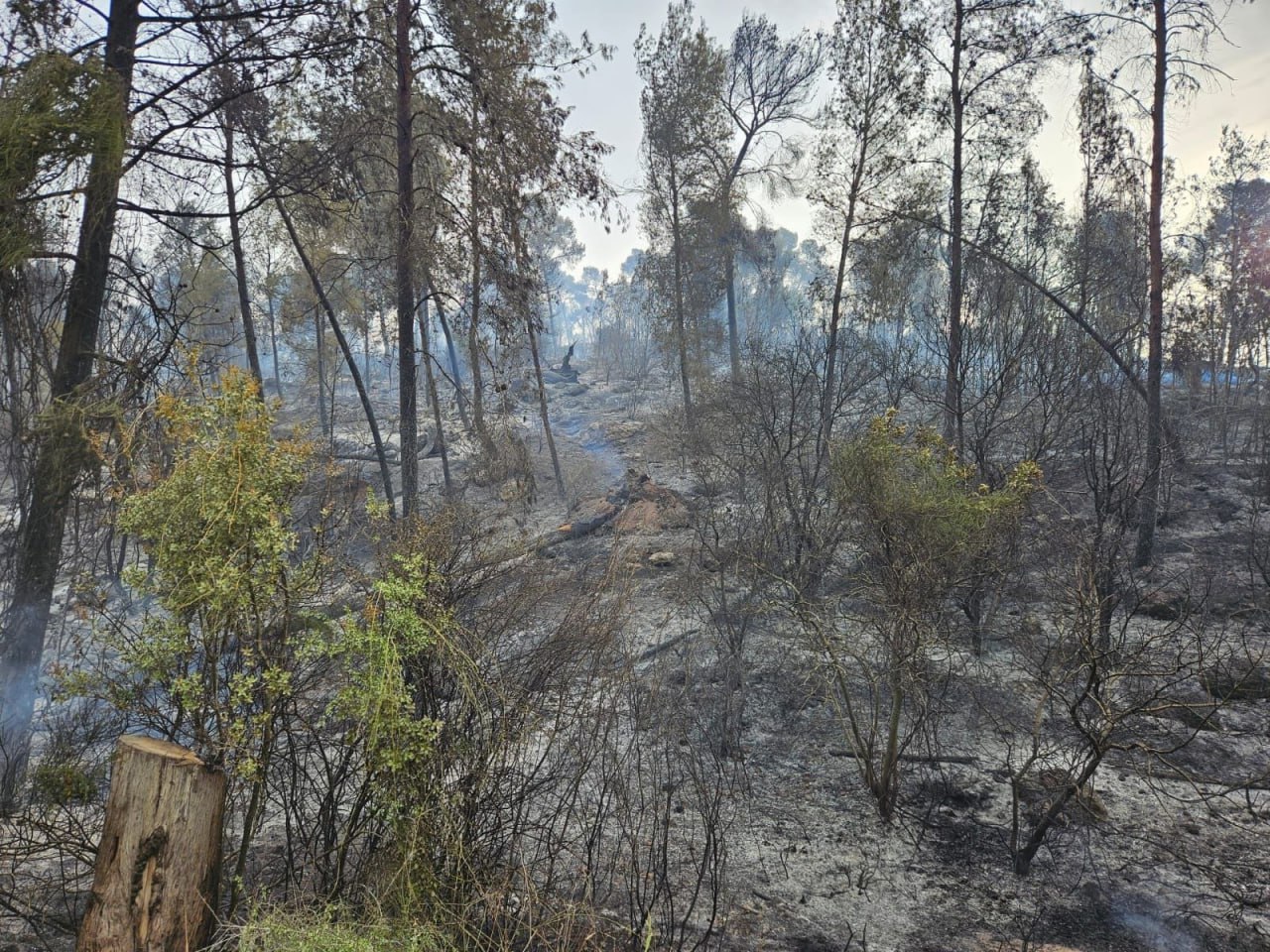 تصوير سلطة الإطفاء والإنقاذ
