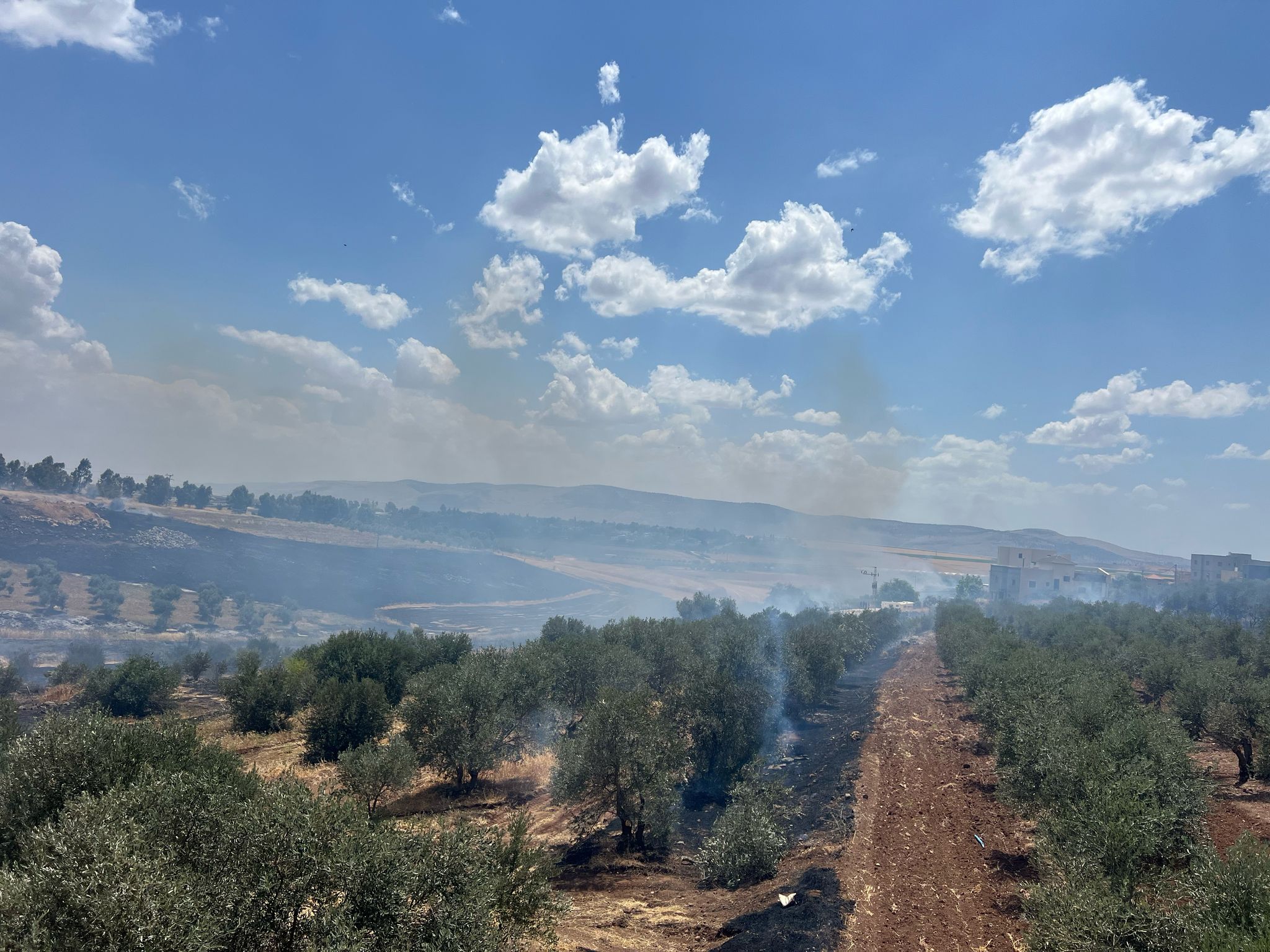 من الحريق في طمرة الزعبية - تصوير سلطة الانقاذ
