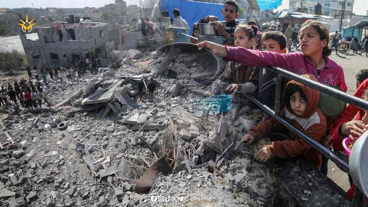 أعلاف الحيوانات غذاء لأهل غزة.. 