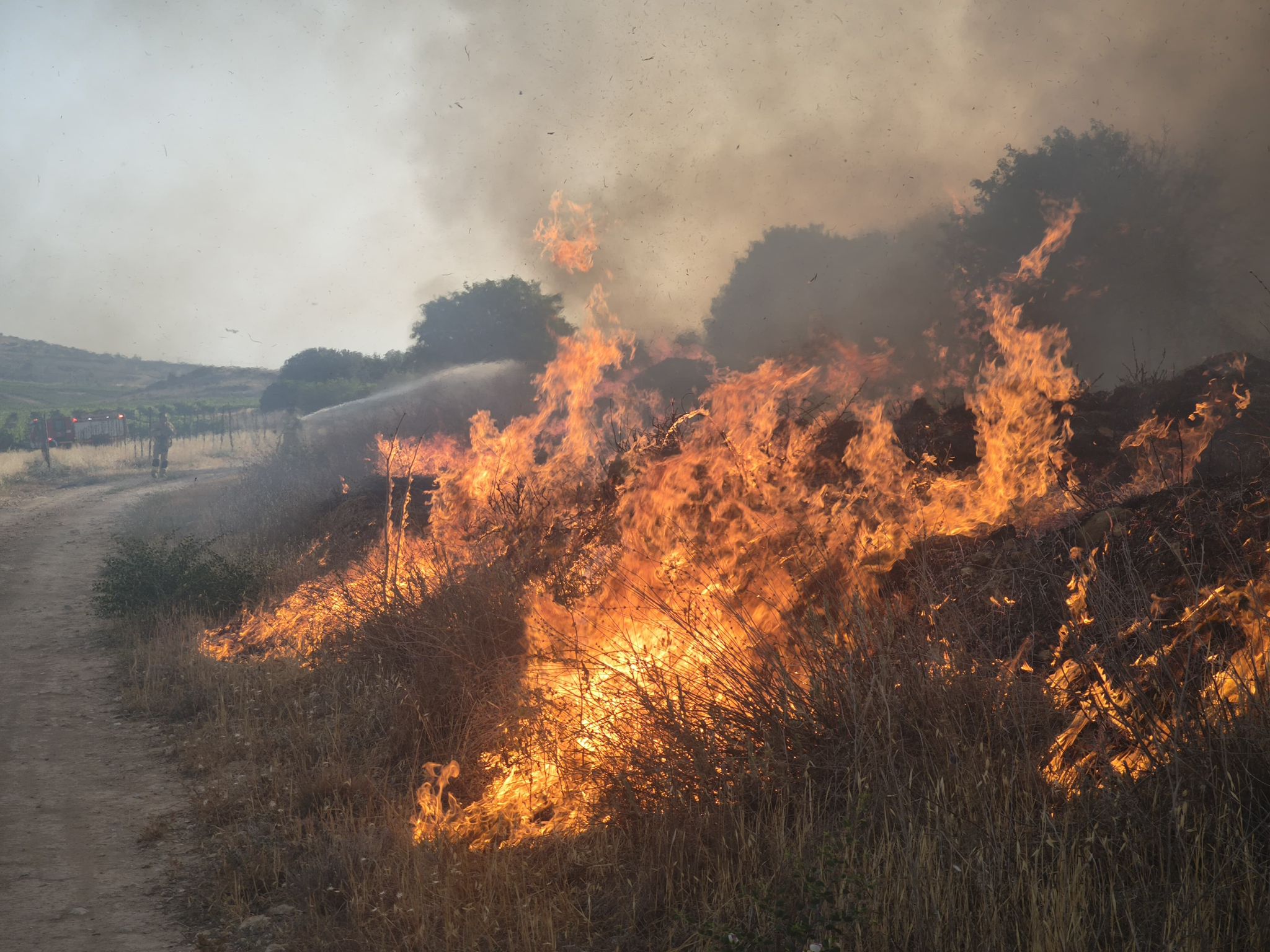 الحريق في موديعين- تصوير سلطة الإطفاء والإنقاذ 