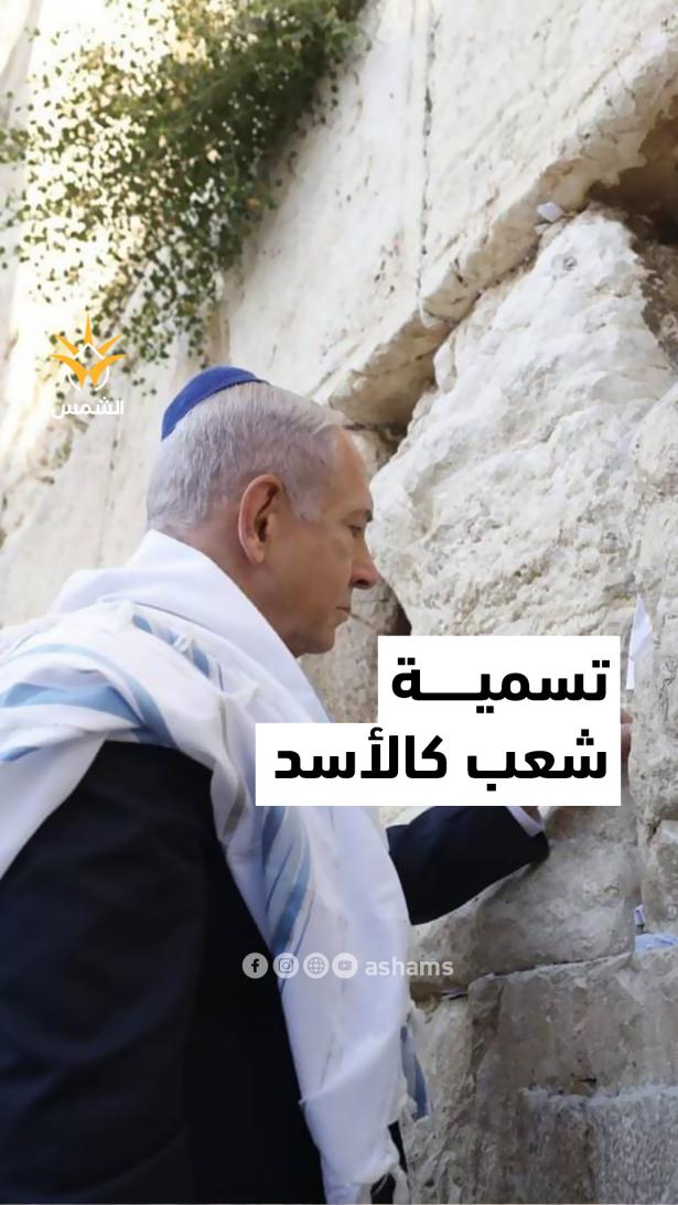 شعب كالأسد، اسم العملية الإسرائيلية