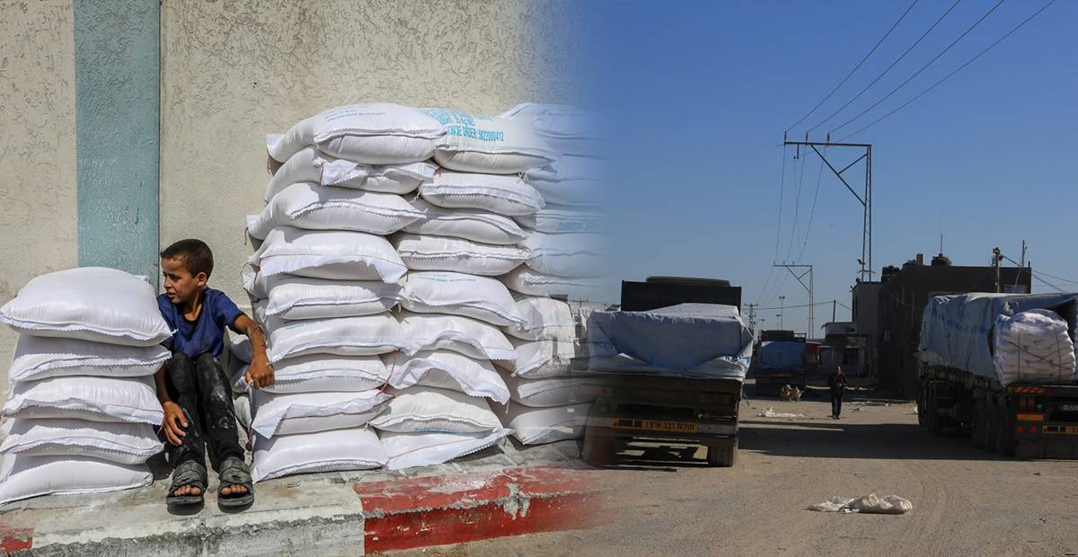 رئيس جمعية النقل الخاص في غزة يكشف كواليس انتهاكات وصعوبات نقل البضائع