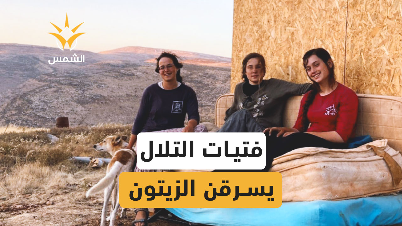 فتيات التلال يسرقن الزيتون،وجه الاستيطان النسائي في الضفة الغربية