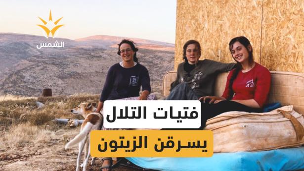 فتيات التلال يسرقن الزيتون،وجه الاستيطان النسائي في الضفة الغربية