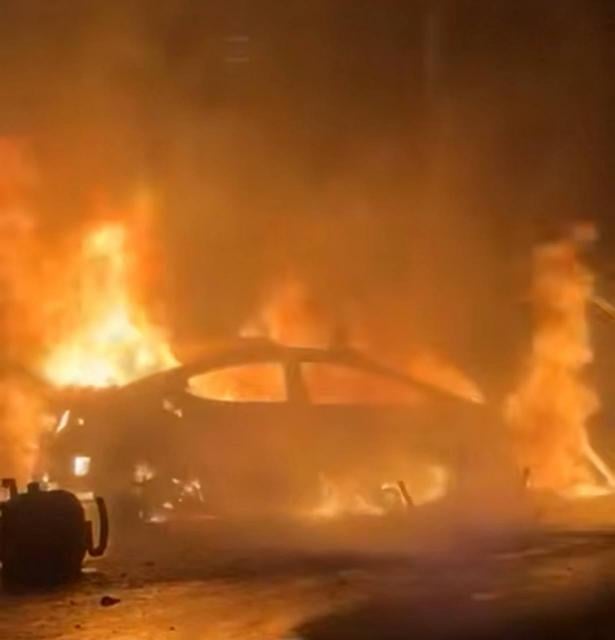 من مكان الشجار في طرعان - شهود عيان