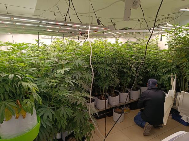 تصوير الشرطة