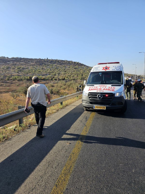 أرشيفية - نجمة داوود