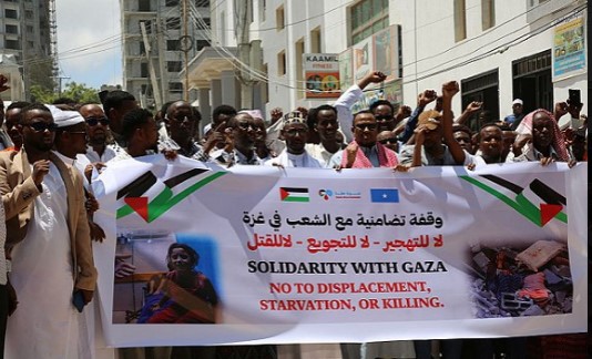 موقع تواصل - متداول 