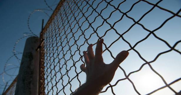 shutterstock_ Ruslan Shugushev
